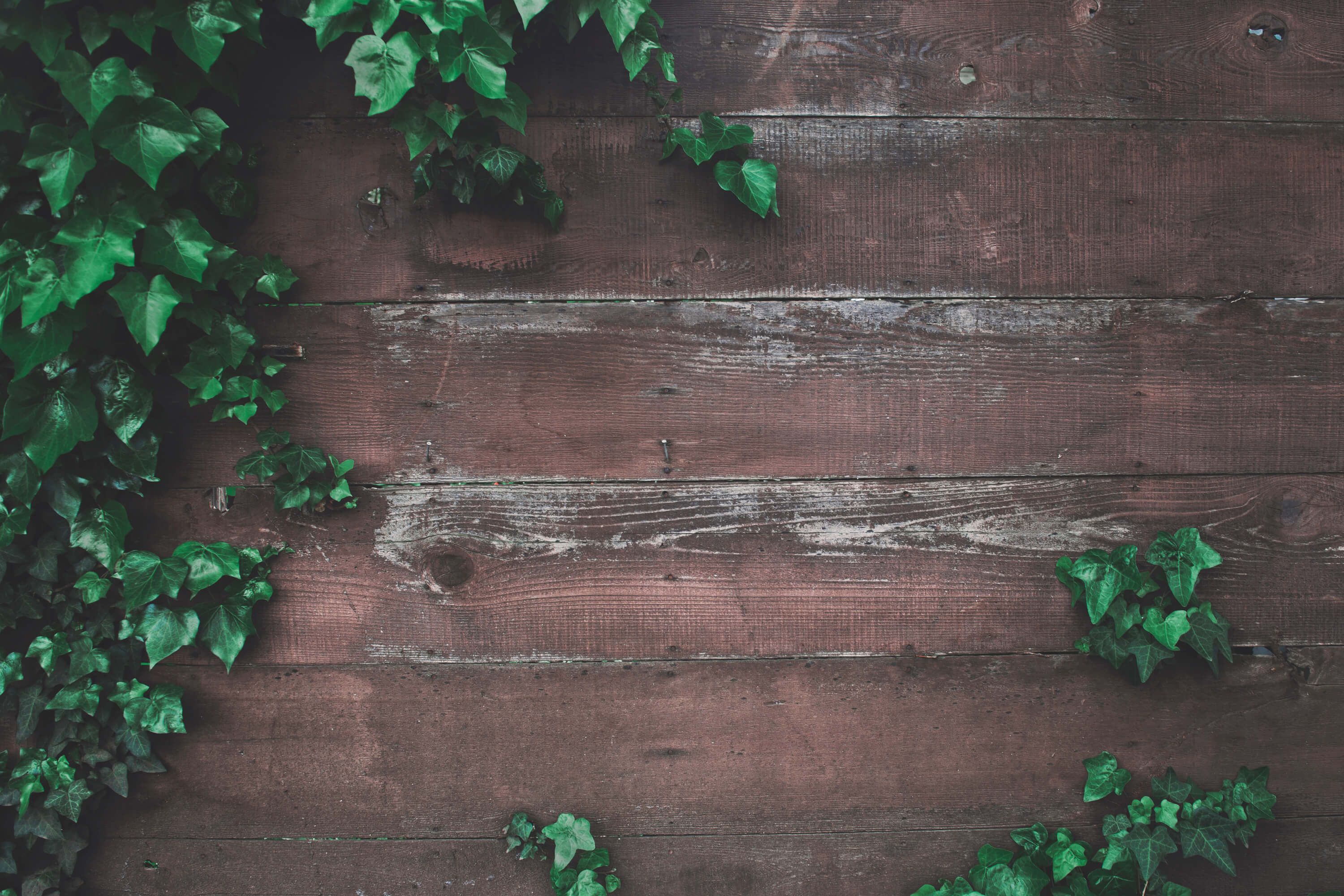 Wooden background for a good ambiance